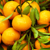 Mandarin Orange