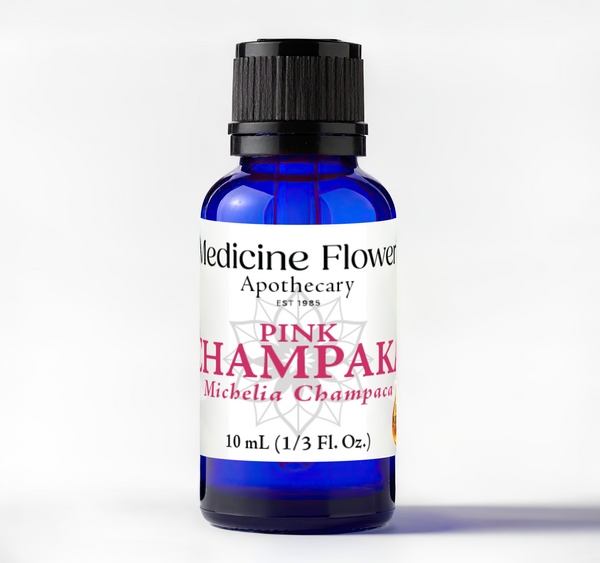 Pink Champaka in Jojoba