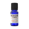 Carrot Seed Essential Oil 10 mL