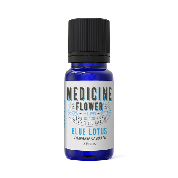 Lotus, Blue – Medicine Flower